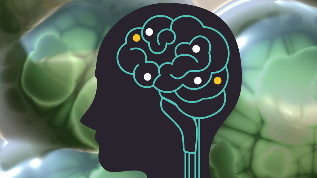 Human Brain