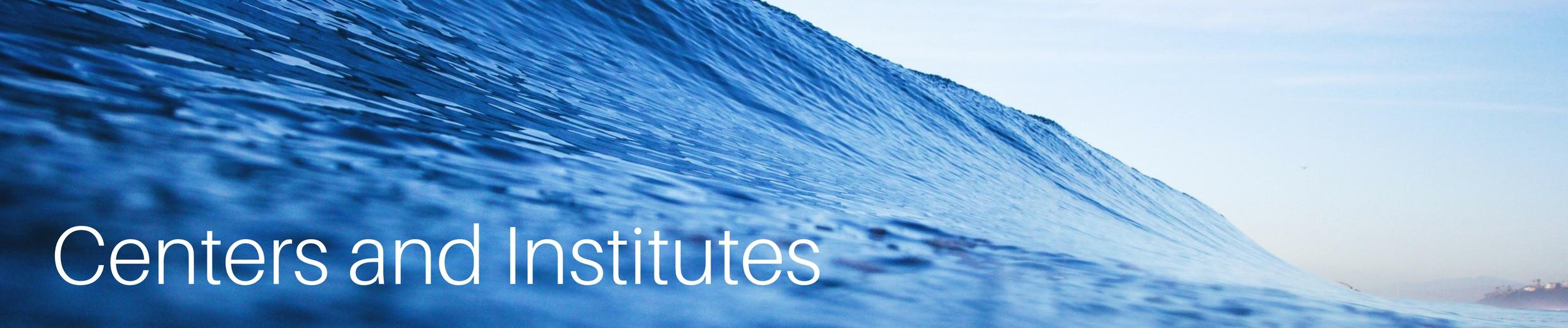 Centers and Institutes